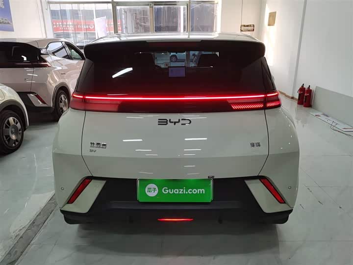 Фото 6 - BYD Seagull