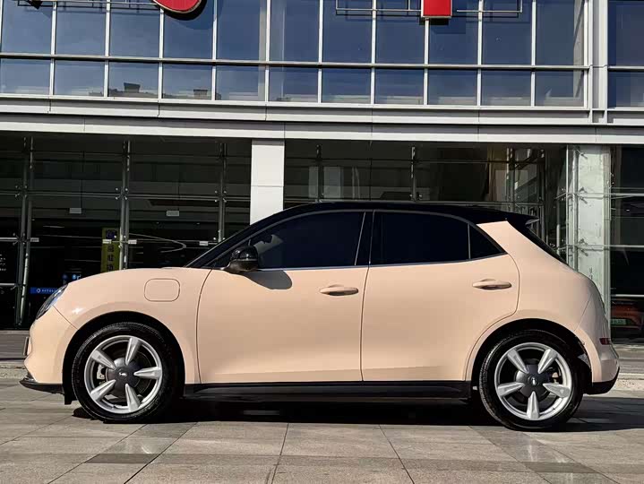 Фото 4 - Ora Good Cat (03)