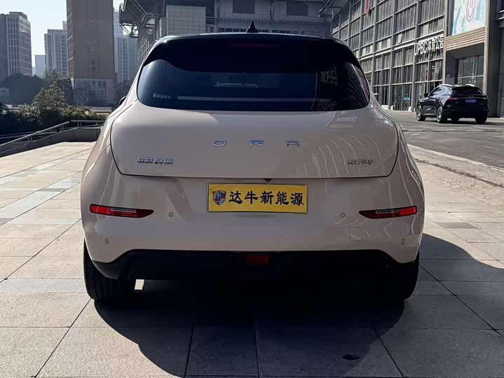 Фото 6 - Ora Good Cat (03)