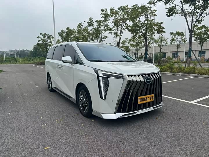 Фото 1 - GAC Trumpchi M8