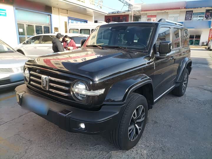 Фото 1 - Tank 300