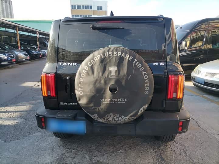 Фото 6 - Tank 300