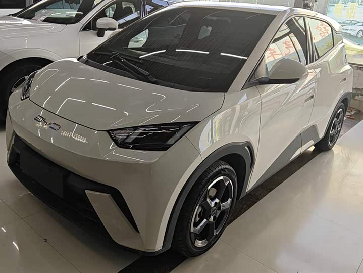 Фото 1 - BYD Seagull