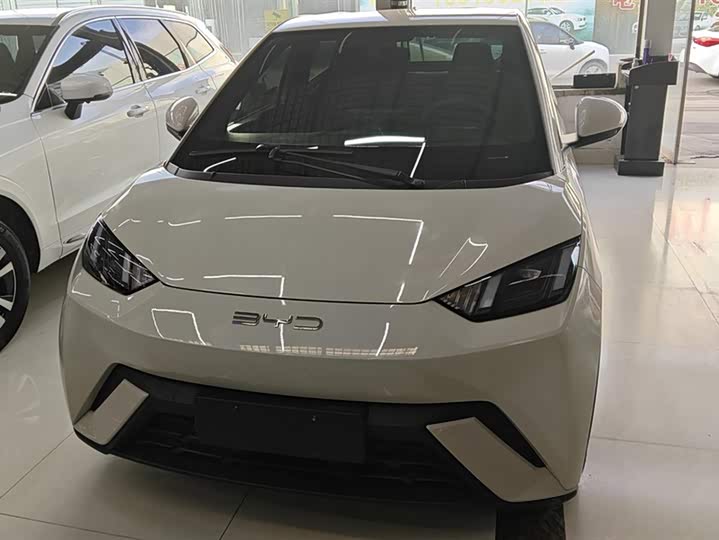 Фото 2 - BYD Seagull