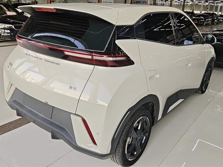 Фото 3 - BYD Seagull