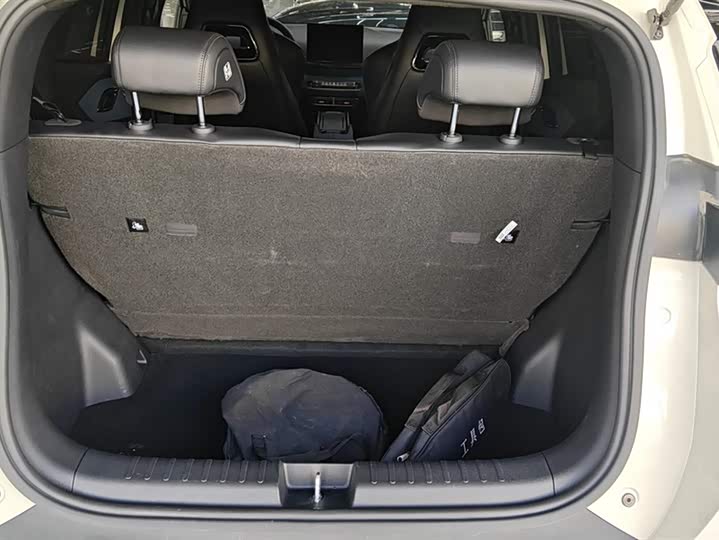 Фото 4 - BYD Seagull