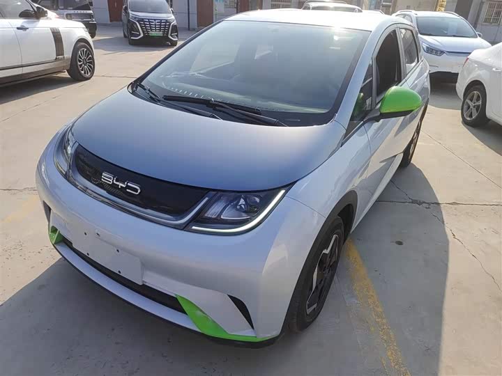 Фото 2 - BYD Dolphin