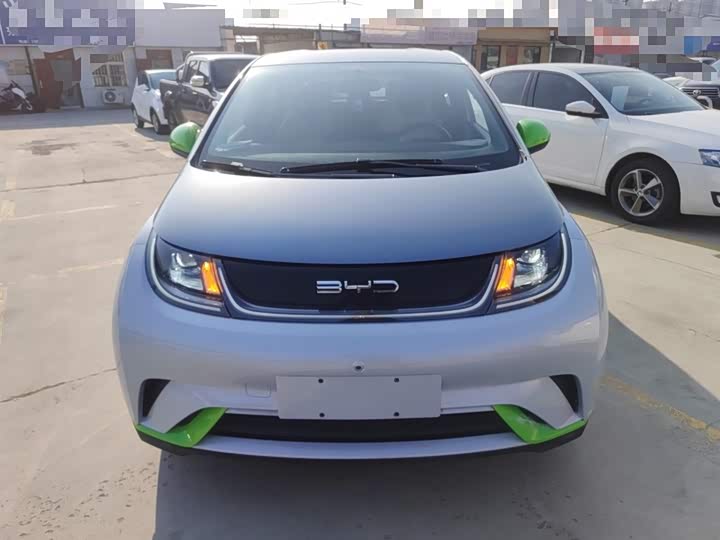 Фото 3 - BYD Dolphin