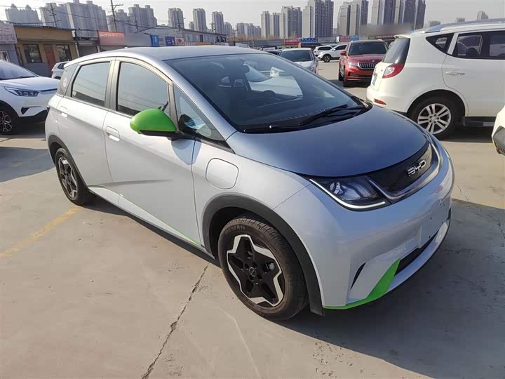 Фото 4 - BYD Dolphin