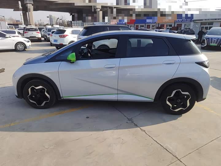 Фото 5 - BYD Dolphin