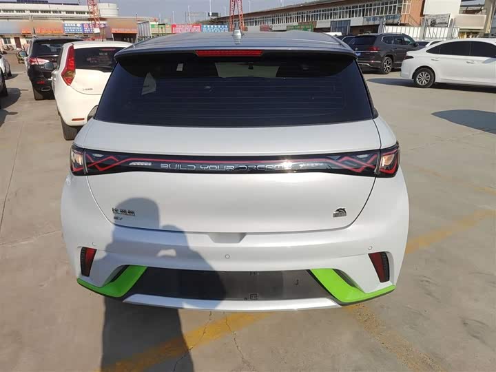 Фото 6 - BYD Dolphin