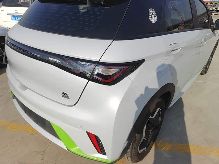 Фото 8 - BYD Dolphin