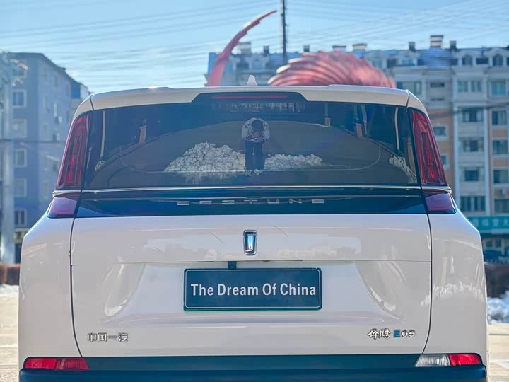 Фото 8 - Bestune NAT