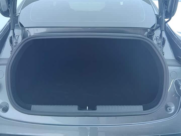 Фото 4 - XPeng P7