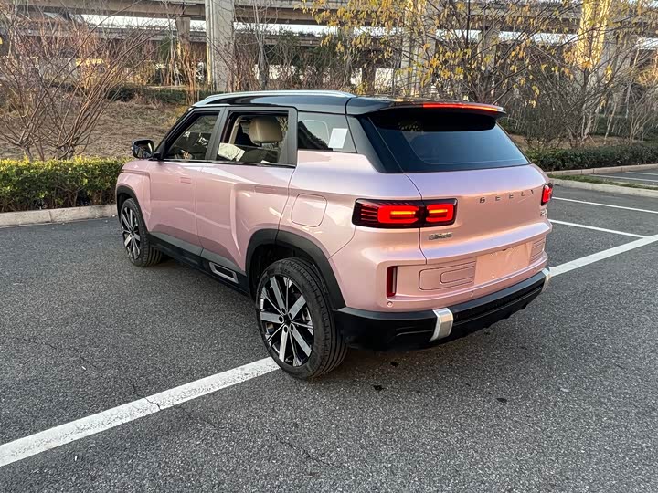 Фото 7 - Geely Icon