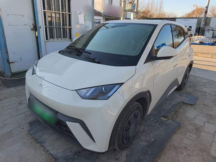 Фото 1 - BYD Seagull