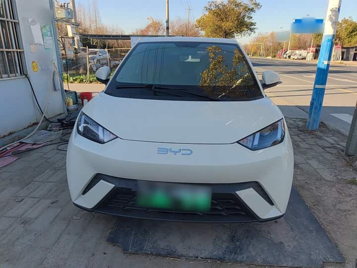 Фото 3 - BYD Seagull