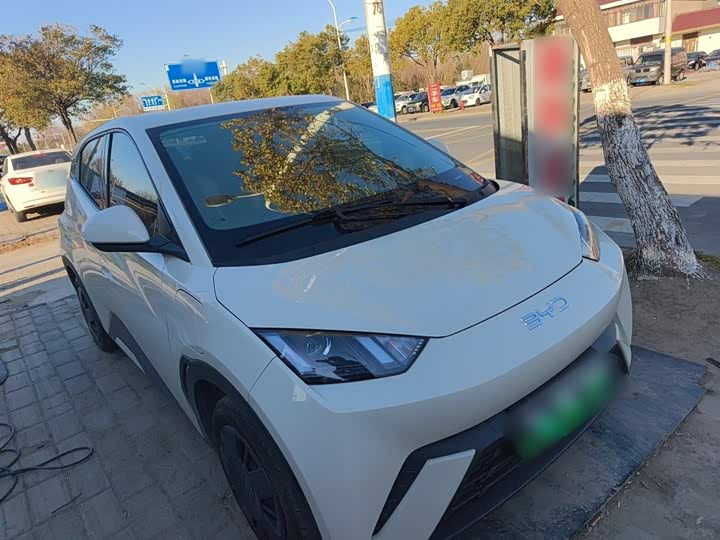 Фото 4 - BYD Seagull