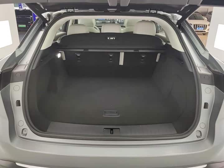 Фото 4 - Exeed RX C-DM Hybrid