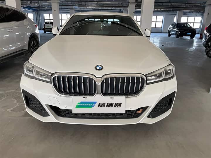 Фото 2 - BMW 5 Series Hybrid