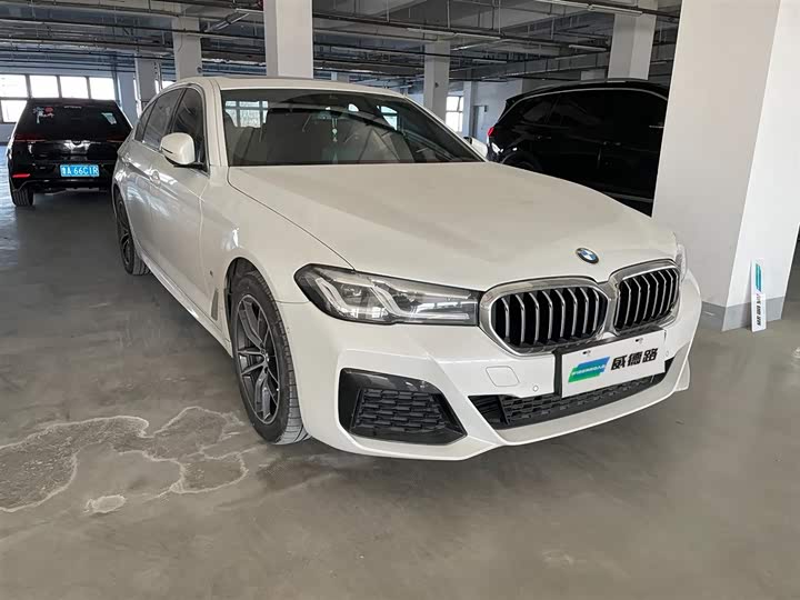 Фото 3 - BMW 5 Series Hybrid