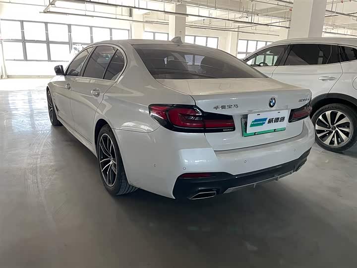 Фото 4 - BMW 5 Series Hybrid