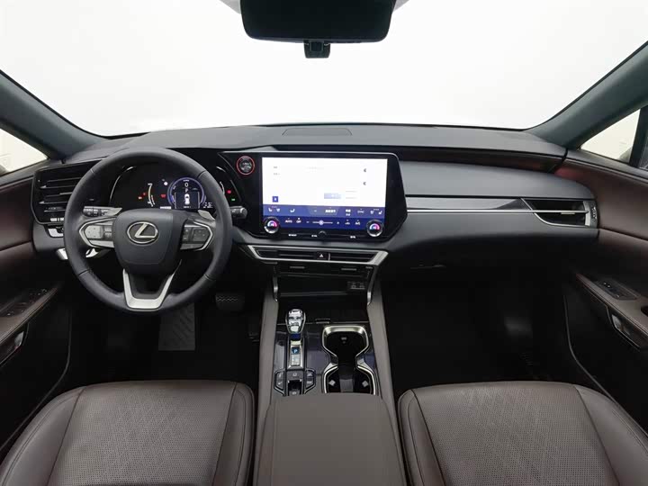 Фото 5 - Lexus RX Hybrid
