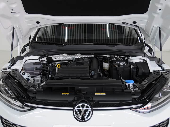 Фото 7 - Volkswagen Lamando L