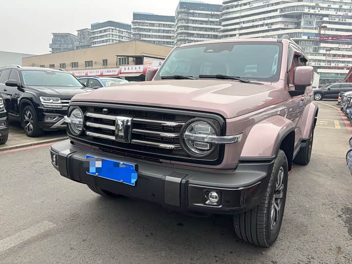 Фото 1 - Tank 300