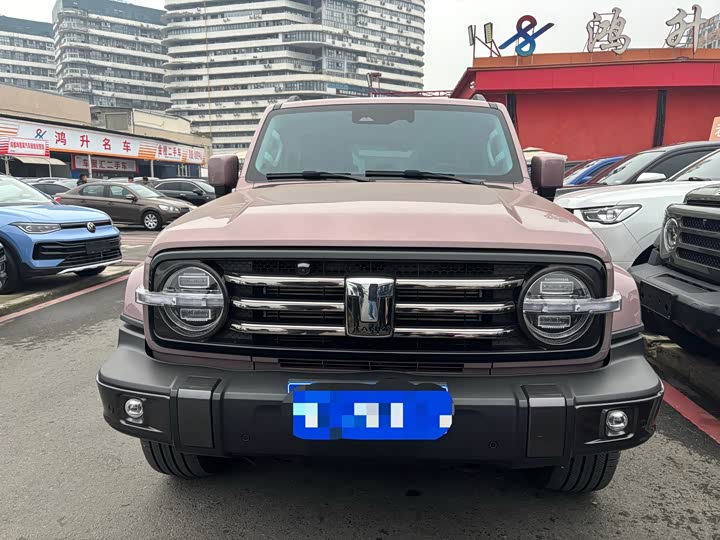 Фото 2 - Tank 300