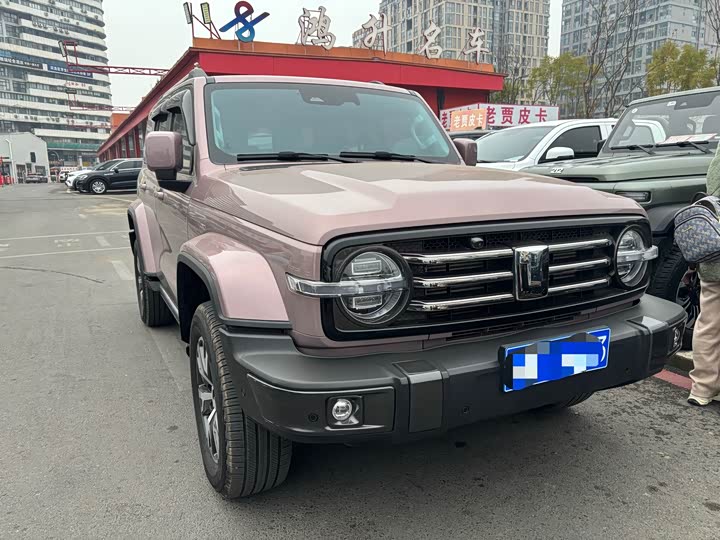 Фото 3 - Tank 300