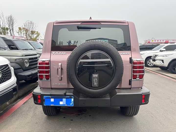 Фото 5 - Tank 300