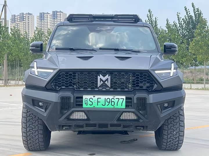 Фото 5 - Dongfeng Mengshi M-Hero 917