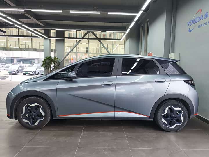 Фото 4 - BYD Dolphin