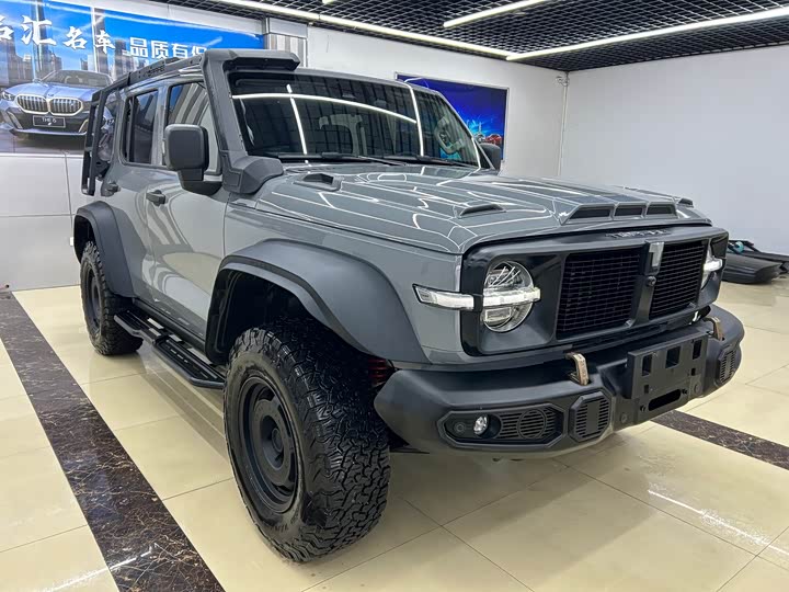 Фото 3 - Tank 300