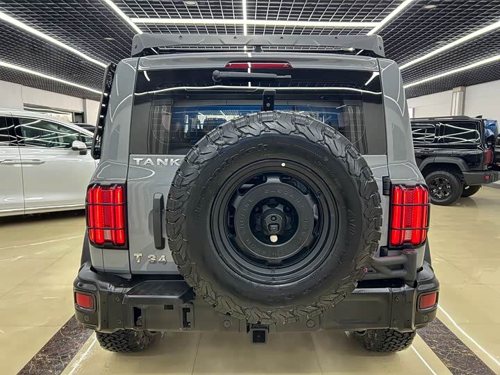 Фото 5 - Tank 300