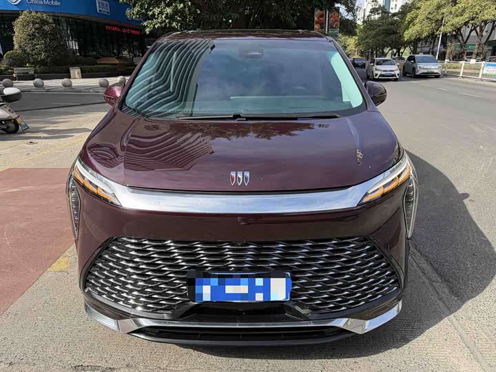 Фото 2 - Buick GL8 Century