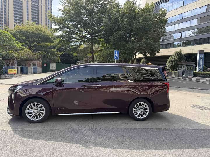 Фото 3 - Buick GL8 Century