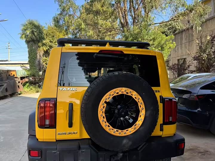 Фото 7 - Tank 300