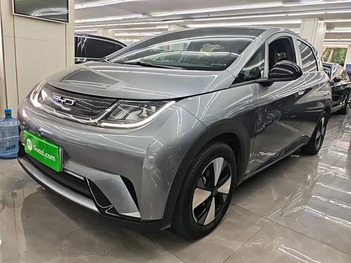 Фото 1 - BYD Dolphin