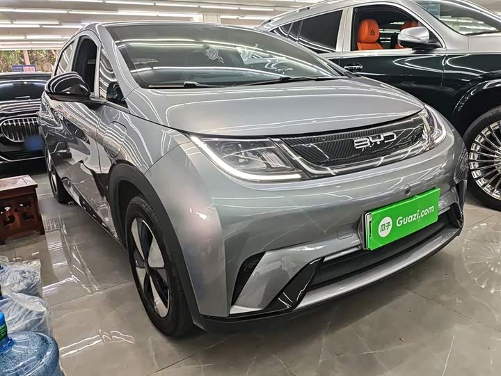 Фото 4 - BYD Dolphin