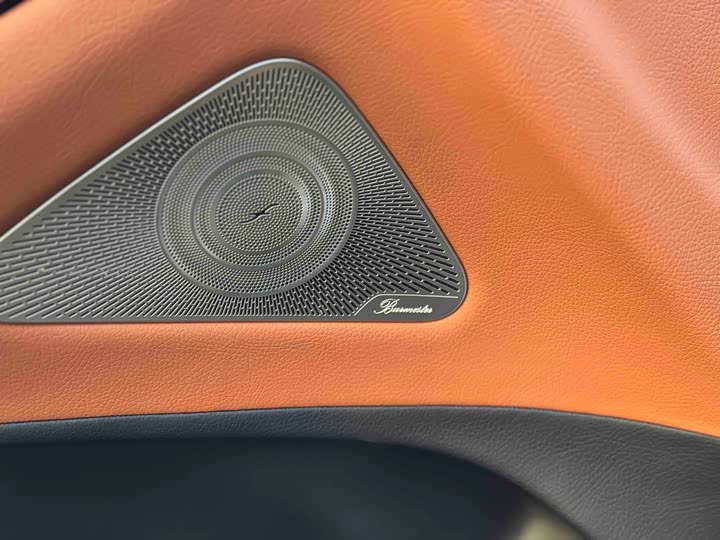 Фото 5 - Mercedes-Benz S-Class Hybrid