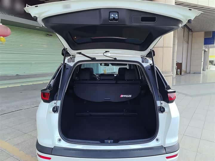 Фото 9 - Honda Breeze