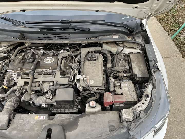 Фото 6 - Toyota Levin