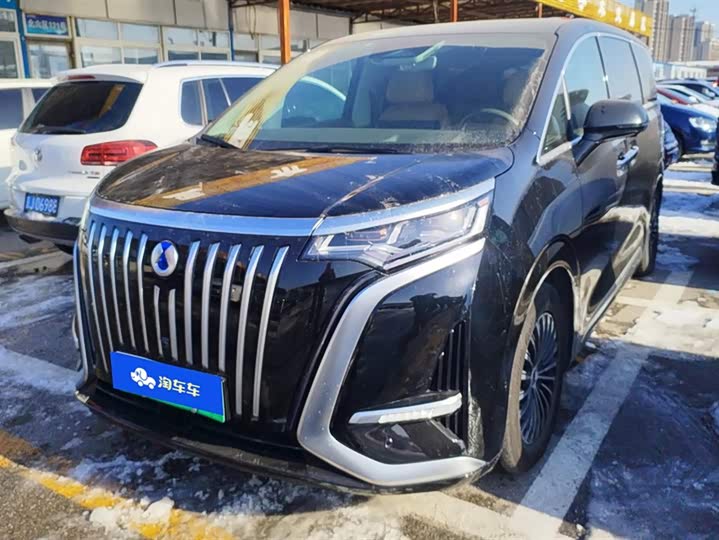 Фото 1 - Denza D9