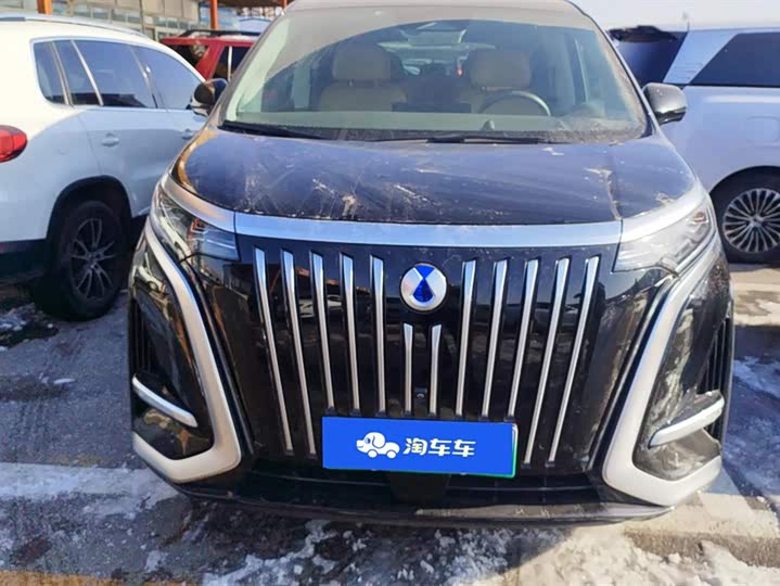 Фото 2 - Denza D9