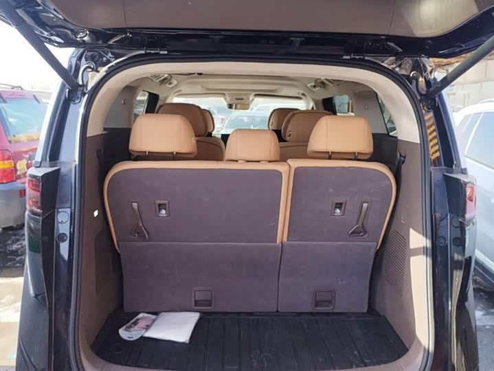 Фото 4 - Denza D9