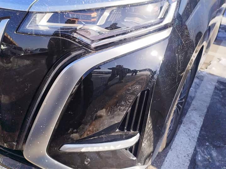 Фото 5 - Denza D9