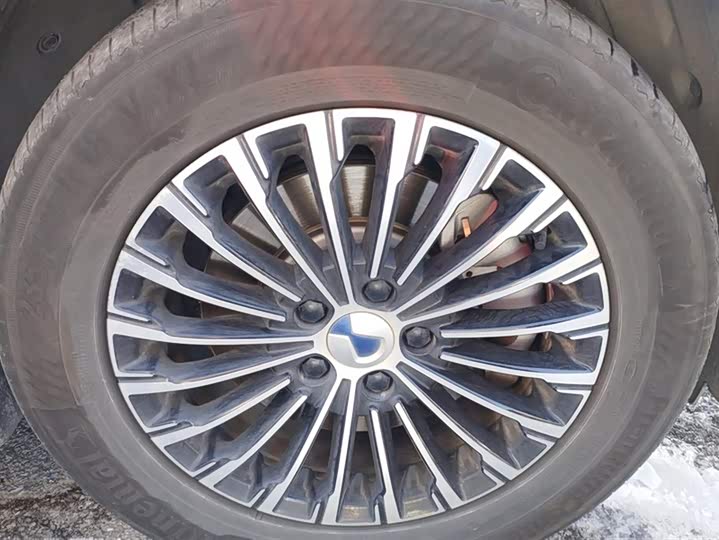 Фото 6 - Denza D9