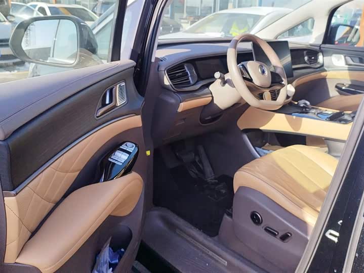 Фото 7 - Denza D9